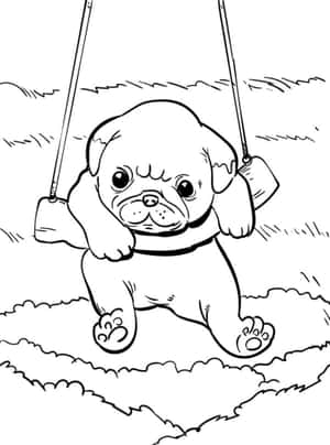 一隻八哥犬BB坐喺草地上嘅鞦韆，輪廓線條用嚟填色。