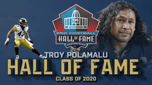 Troy Polamalu 名人堂入選圖形，包含球員動作照和肖像。