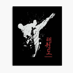 跆拳道選手擺出踢腿姿勢，帶有韓文文字和紅色字樣。 — 動漫打鬥 壁紙