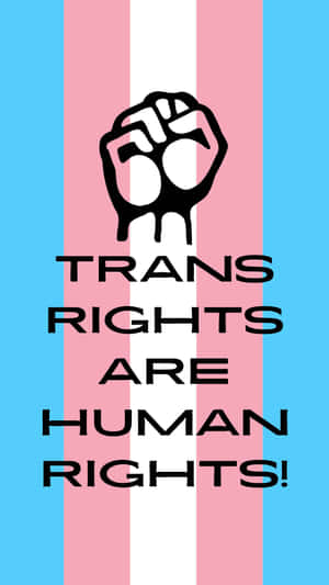 跨性別旗幟條紋上的黑色拳頭符號，帶有文字 trans rights are human rights