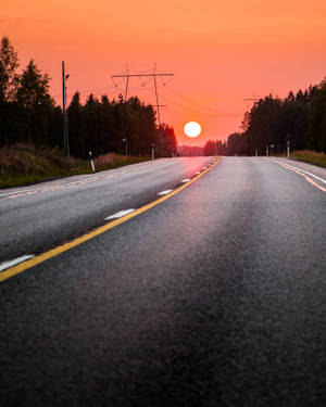 日落時分，一條寧靜的道路兩旁樹木和電線杆林立。