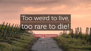 日落時分的葡萄園小徑，附有Hunter S Thompson的引言too weird to live too rare to die