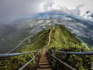木樓梯攀登綠色山脈，下方是城市和海洋景觀。