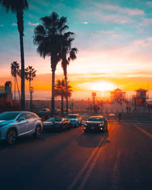 汽車在夕陽下沿著棕櫚樹成行的海岸道路行駛，遠處有碼頭。