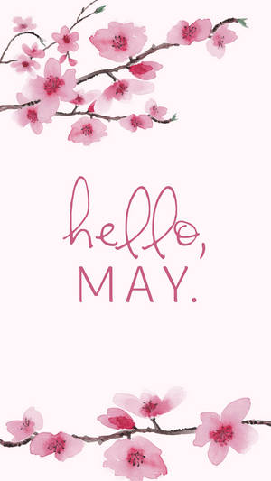 粉紅櫻花枝條框住柔和粉紅背景上的「hello may」文字。