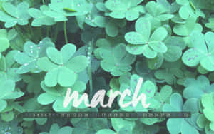 帶有水珠的三葉草葉片，疊加「march」字樣。