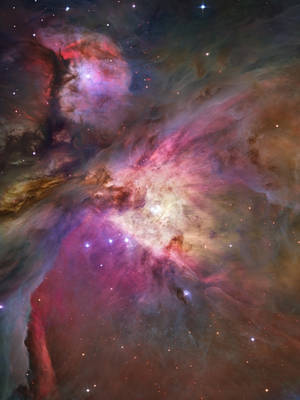 獵戶座星雲中充滿活力的宇宙雲和星星 — 太空 壁紙