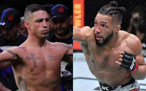 比賽期間八角籠內的兩名男性MMA拳手。
