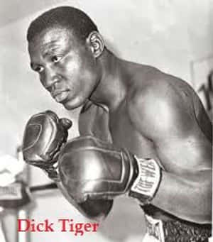 拳擊手 Dick Tiger 戴著手套，準備在黑白照片中戰鬥。
