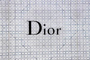 Dior 標誌在藍色幾何網格背景上。