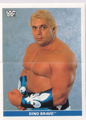 摔角手 Dino Bravo 戴著藍白護腕，在攝影棚中赤裸上身擺姿勢。