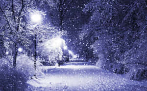 夜間被街燈照亮的積雪公園小徑。
