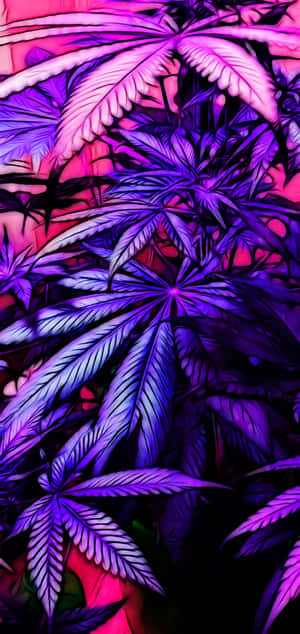 在黑暗的數位藝術場景中發光的霓虹紫色和粉紅色大麻葉。 — 深紫色美學 GIF 壁紙