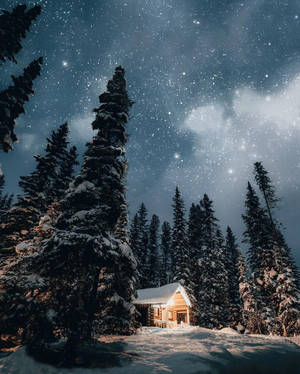 被松樹環繞的星空冬夜下，溫暖發光的雪覆蓋小屋。