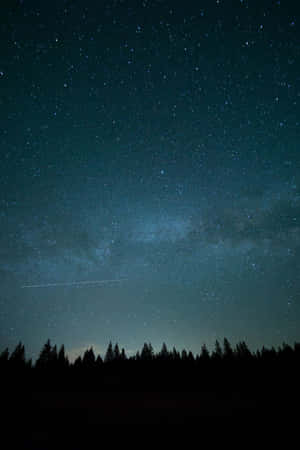 繁星點點的夜空，銀河在黑暗的松樹上方。 — 夜空 壁紙