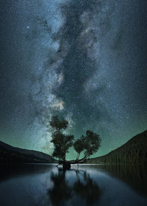 一棵孤樹倒映在水中，下方是滿天星斗的夜空，銀河可見。
