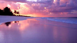 海灘日落美景，橙色天空與寧靜海面交相輝映
