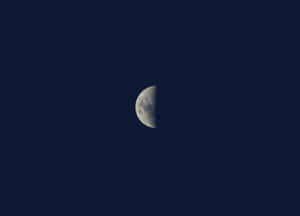 黑暗夜空中的半月