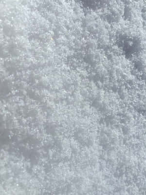 雪晶在陽光下閃耀的特寫