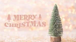 金色散景背景上帶有「Merry Christmas」文字的霜凍迷你聖誕樹。 — 聖誕樹 壁紙