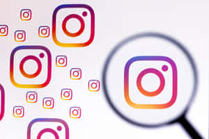 放大鏡突出顯示Instagram標誌，周圍有彩色圖標。