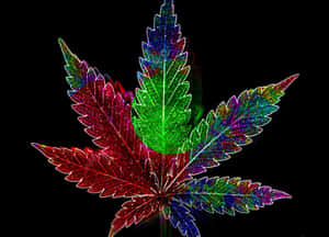 一片色彩繽紛閃亮的大麻葉在黑色背景下發光。