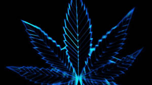 發光藍色霓虹大麻葉在黑色背景上 — 食草 壁紙
