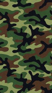 帶有綠色、棕色和黑色斑點的軍事迷彩圖案。