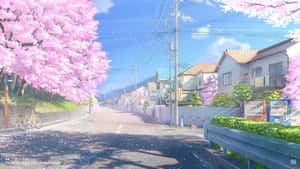 在陽光明媚的春日，櫻花樹排列在安靜的住宅街道上。