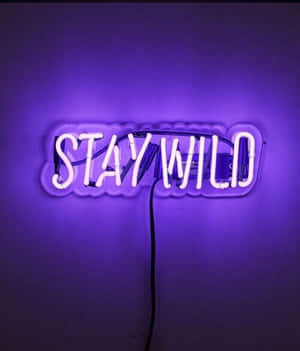 紫色霓虹燈牌，上面寫著「STAY WILD」，安裝在牆上。