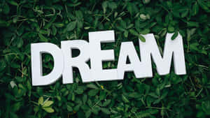 白色3D字母拼出DREAM，置於綠色葉子背景上。