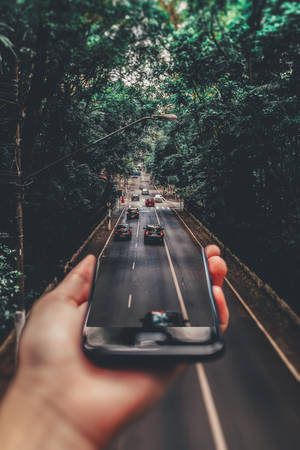 手拿著手機拍攝一條穿過茂密綠樹的道路，有汽車行駛。 — 小米Pad 7S Pro 12.5 壁紙