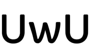 白色背景上的黑色文字 UwU
