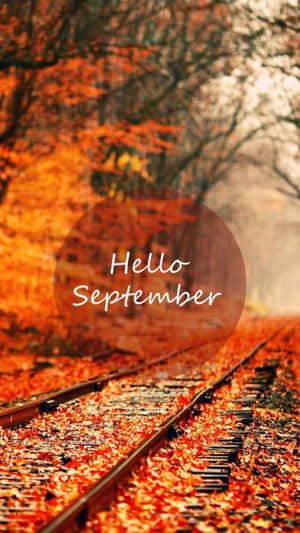 穿過秋日森林的鐵路軌道被橙色樹葉覆蓋，帶有「Hello September」文字。 — 秋天 壁紙