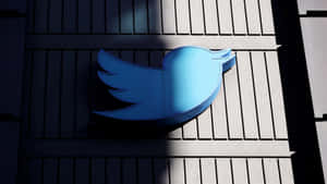 陽光照射的灰色建築牆上帶有強烈陰影的藍色Twitter鳥標誌。