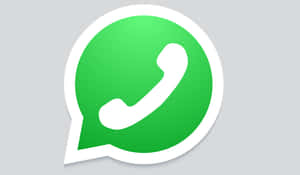 綠色WhatsApp標誌，對話氣泡內有白色電話圖標。