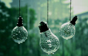 三個潮濕的懸掛燈泡在雨中的綠色戶外環境
