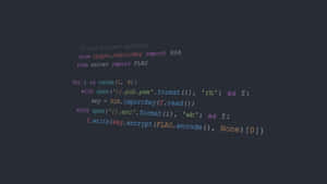 使用 RSA 金鑰加密旗標的 Python 程式碼片段