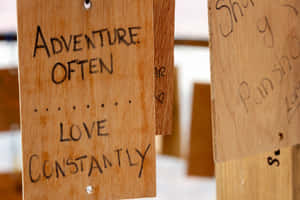 木製標牌，帶有手寫勵志短語，如 adventure often love constantly。