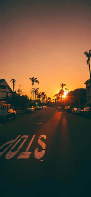 夕陽下的棕櫚樹街道，停著汽車，街道標線褪色