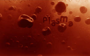 懸浮在液體中的琥珀色氣泡，透過它們可以看到「plasma」一詞。
