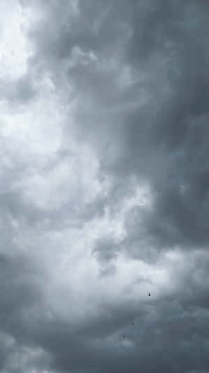 黑暗的風暴雲佈滿天空，一隻孤鳥在黑暗中飛翔。