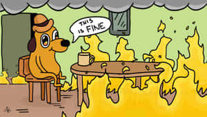 戴帽子的狗在房間燃燒時說 'this is fine'。