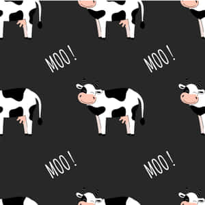 黑白卡通牛，粉紅色鼻子和「MOO！」文字，灰色背景。