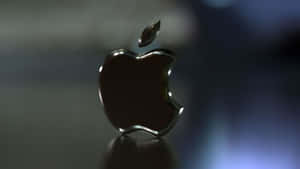 閃亮的 Apple 標誌，帶有咬痕和葉子，位於反光表面上。
