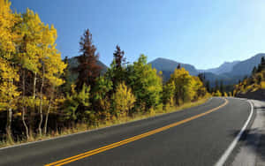 穿過秋日森林的蜿蜒道路，背景有山 — 道路 壁紙