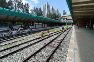 兒童和成人於綠色屋頂下的車站舊火車軌道上行走。