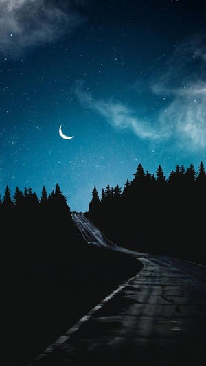 蜿蜒道路穿過森林，繁星夜空，新月薄雲