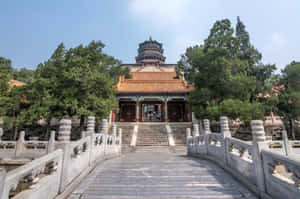 石橋通往一座被綠樹環繞的古老中國寺廟。 — 建築 壁紙