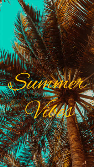 棕櫚樹冠在藍綠色天空下，帶有「Summer Vibes」文字。 — 氛圍 GIF 壁紙